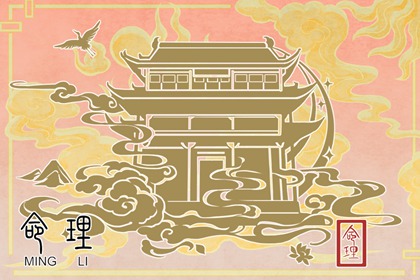 谢磊的八字命理解析大全 谢磊的八字命理全面解读宝典