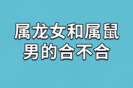 属龙的跟属鼠的相差几岁,属龙与属鼠的年龄差异有多少岁