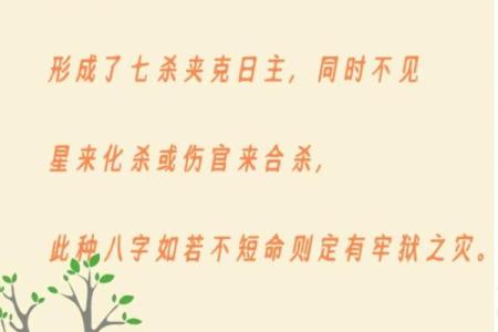 命理大师谈女人八字 命理专家解读女性的八字特点