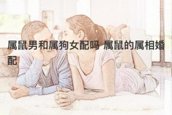 属虎的和属鼠女的配吗,属虎男与属鼠女的婚配是否合适