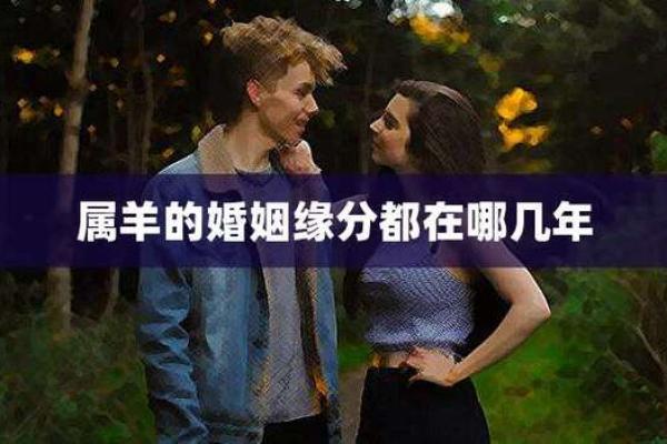 属龙跟属羊的婚配怎么样,属龙与属羊的婚姻契合度如何