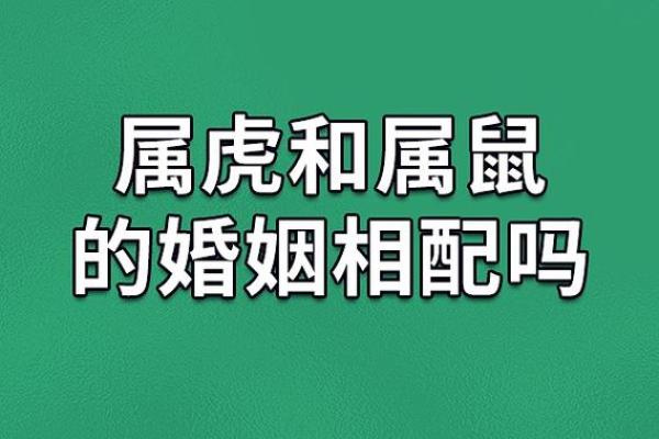 属虎男与属相配(属虎男性与生肖相配情况)