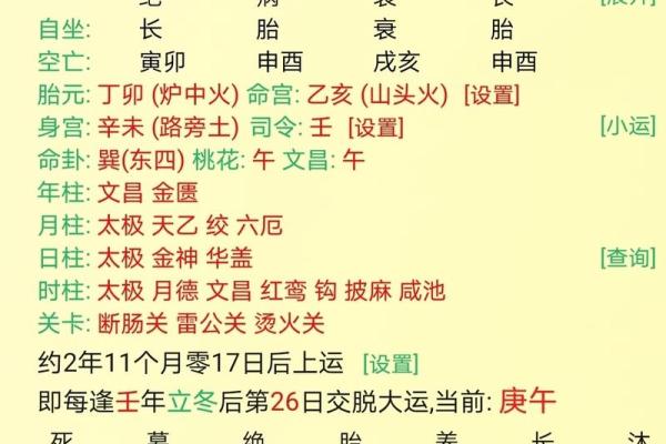 丙寅辛丑己卯辛未的八字命理 八字命理：丙寅辛丑己卯辛未组合