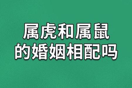 属虎男与属相配(属虎男性与生肖相配情况)