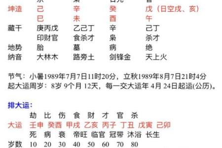 丙寅辛丑己卯辛未的八字命理 八字命理：丙寅辛丑己卯辛未组合