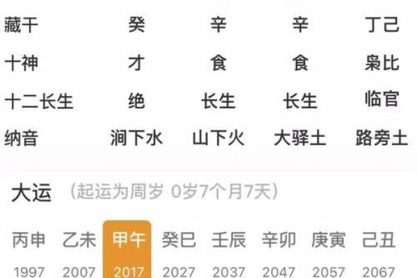 八字怎么看丁酉命格属性 丁酉命格属性与八字的关系探秘