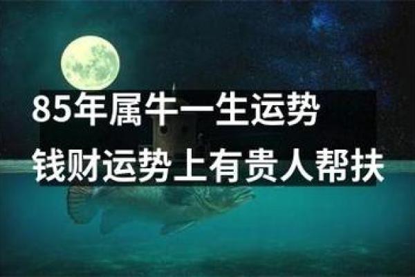 属牛2024年7月吉日(牛年2024年7月的好日子)