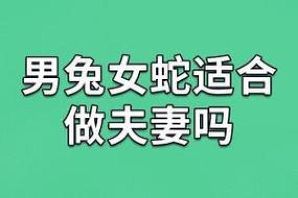 属虎女和属兔姻缘相配(属虎女性与属兔男性姻缘匹配情况)