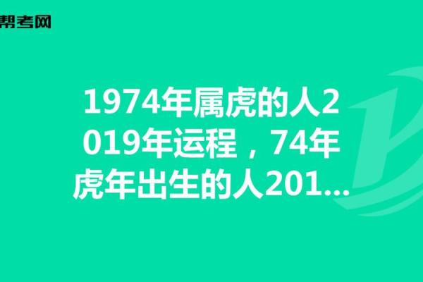 属虎幸运手机号码查询,虎年好运手机号码查询方法