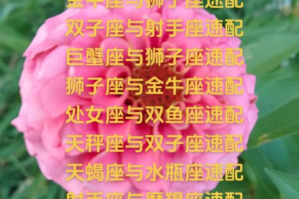 摩羯座和双子座交往融洽吗（摩羯座和白羊座做朋友）