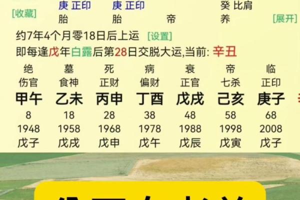 八字命理之丙辰喜忌什么 丙辰八字命理中的喜忌要素