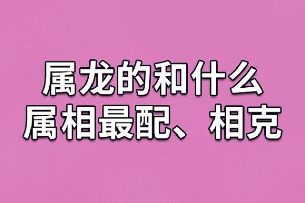 属猴的怕属龙的人吗女生,属猴女性是否对属龙男性有顾虑