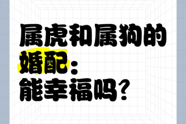 属虎喜欢找个漂亮老婆吗,属虎男子是否偏爱美貌伴侣