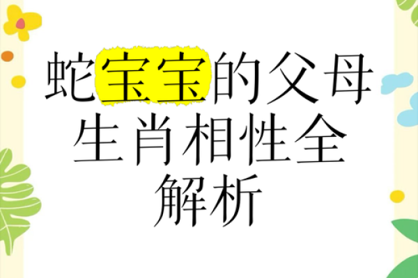 属龙妈妈生个兔宝宝相克吗,属龙母亲与兔宝宝是否相互影响