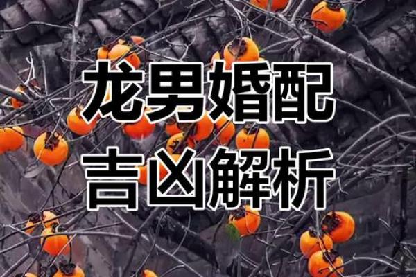 属龙男婚姻相配(属龙男性的婚姻最佳搭档)