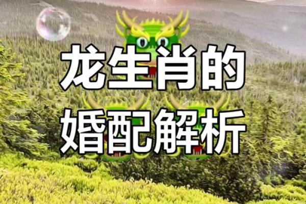 属龙男婚姻相配(属龙男性的婚姻最佳搭档)