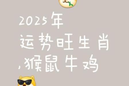 属猴2025年6月提车吉日 买车吉日吉时查询2020