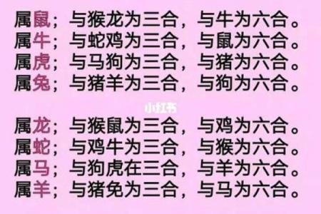 属虎的女孩属鼠的男孩好吗,属虎女孩和属鼠男孩的配对如何