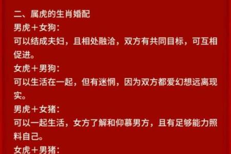 属虎的能和属龙的配吗婚姻,虎与龙的生肖婚配是否合适