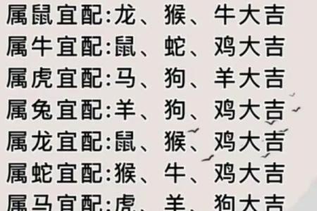 属虎配属龙生的小孩聪明吗,属虎与属龙结合的孩子聪慧吗