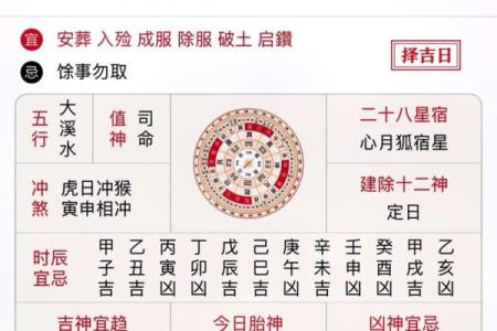 属虎人能在冲虎日搬家吗,虎年冲虎日适合属虎人搬家吗