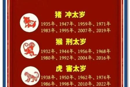 属虎人每日出生运气查询,虎年出生者每日运势查询