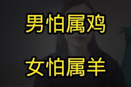 属虎的哥哥属羊的弟弟好吗,属虎哥哥与属羊弟弟的相处如何
