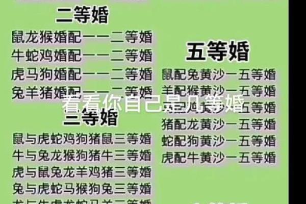 属龙男和属羊女婚配是如何,属龙男与属羊女的婚配情况如何