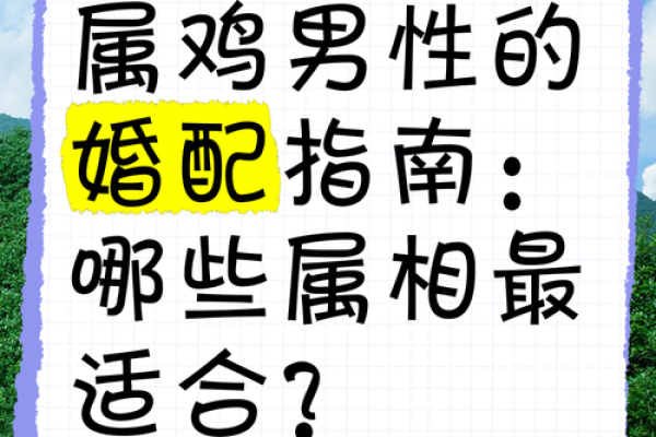 属鸡属鼠属龙女相配吗(鸡鼠龙女的生肖配对情况如何)