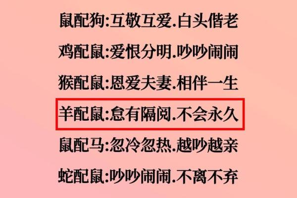 属虎人不喜欢属鼠的吗,属虎人与属鼠之间的情感关系