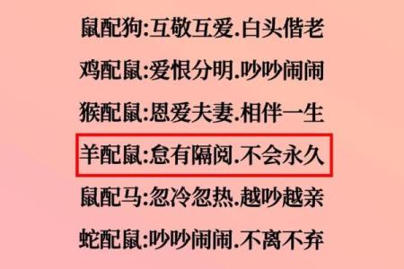 属虎人不喜欢属鼠的吗,属虎人与属鼠之间的情感关系