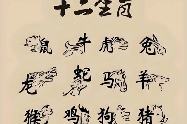 属虎和什么属相配夫妻最合,属虎与哪些属相婚配相宜夫妻关系更好