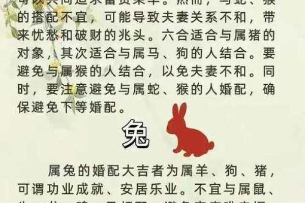 属虎和什么属相配夫妻最合,属虎与哪些属相婚配相宜夫妻关系更好
