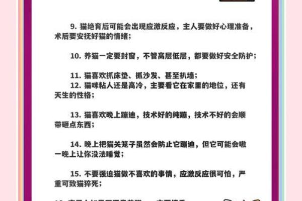 属龙的为什么不能养猫,属龙的人与养猫之间的禁忌