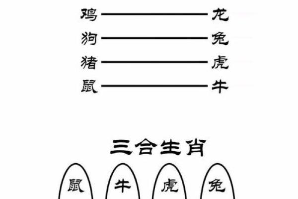 属虎和属鼠的合不合才,属虎与属鼠的相合情况如何
