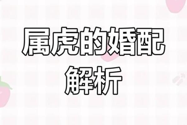 属虎的和属龙的配对,虎年和龙年生肖的相配关系