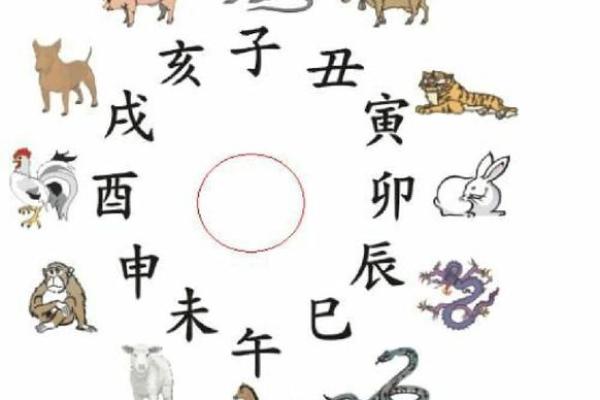 属龙忌婚配什么属相,属龙的生肖婚配禁忌属相介绍