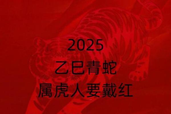 属虎的适合晚婚吗女人婚姻,属虎女性的婚姻与晚婚适宜性