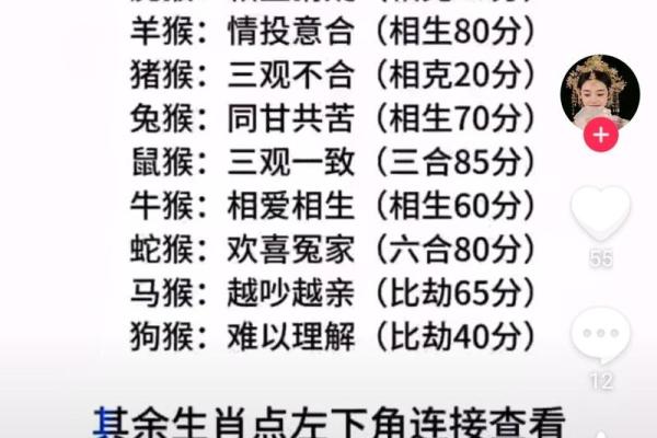 属虎和属猴什么属相配(属虎和属猴的最佳配对属相)
