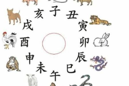 属龙忌婚配什么属相,属龙的生肖婚配禁忌属相介绍