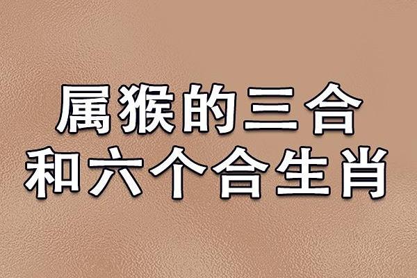 属龙女属猴男相配吗(属龙女性与属猴男性的配对情况如何)