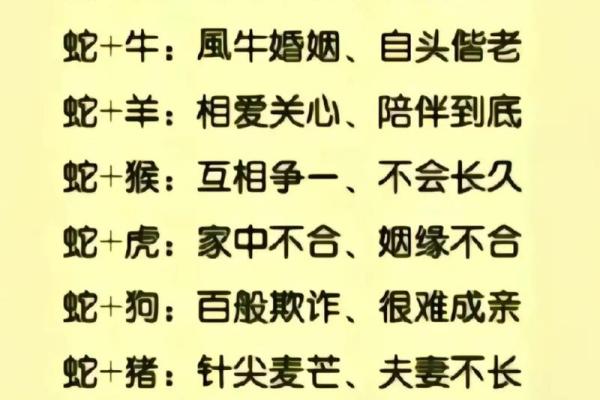 属龙女和虎属相相配(龙女与虎属相的最佳契合)