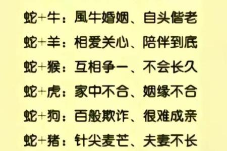 属龙女和虎属相相配(龙女与虎属相的最佳契合)