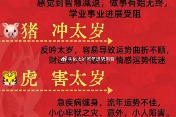 属虎女和和属蛇男相配吗(虎女和蛇男的配对情况如何)