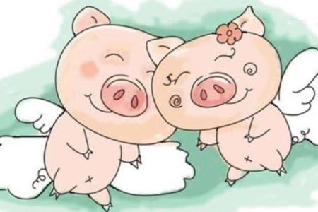 属龙的和属猪的合适结婚吗,属龙属猪的婚配是否合适