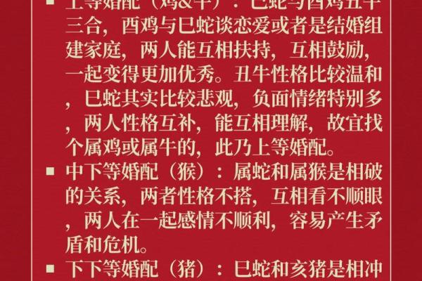 属龙和属蛇俩个人相配不(属龙与属蛇两人是否契合)