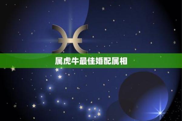 属虎人与属牛相配(虎人与牛人是否合适搭配)