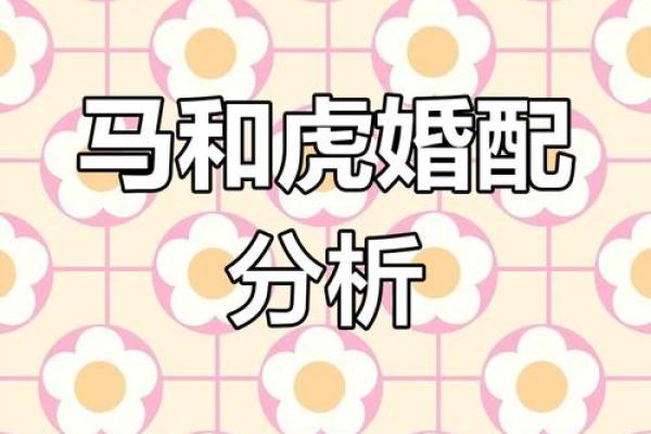 属马和属兔蛇相配吗(属马人和属兔蛇是否和谐相配)