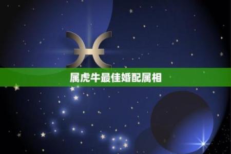 属虎人与属牛相配(虎人与牛人是否合适搭配)
