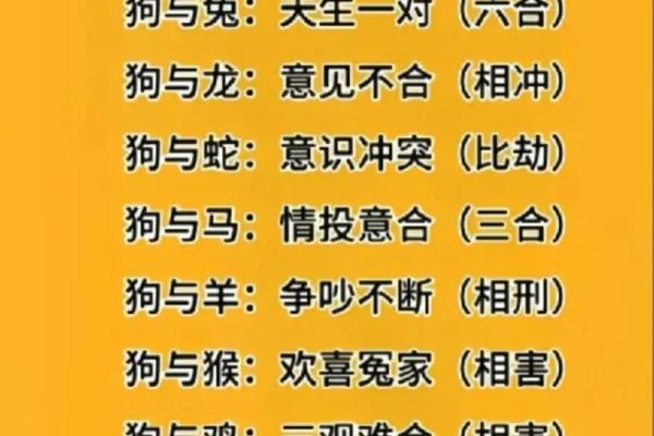属虎和属羊相配怎样呢(属虎与属羊的相配特点如何)